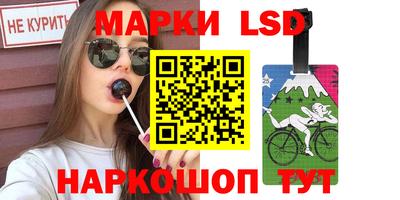 гидропоника Сланцы