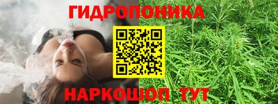 гидропоника Сланцы
