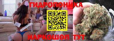 гидропоника Сланцы