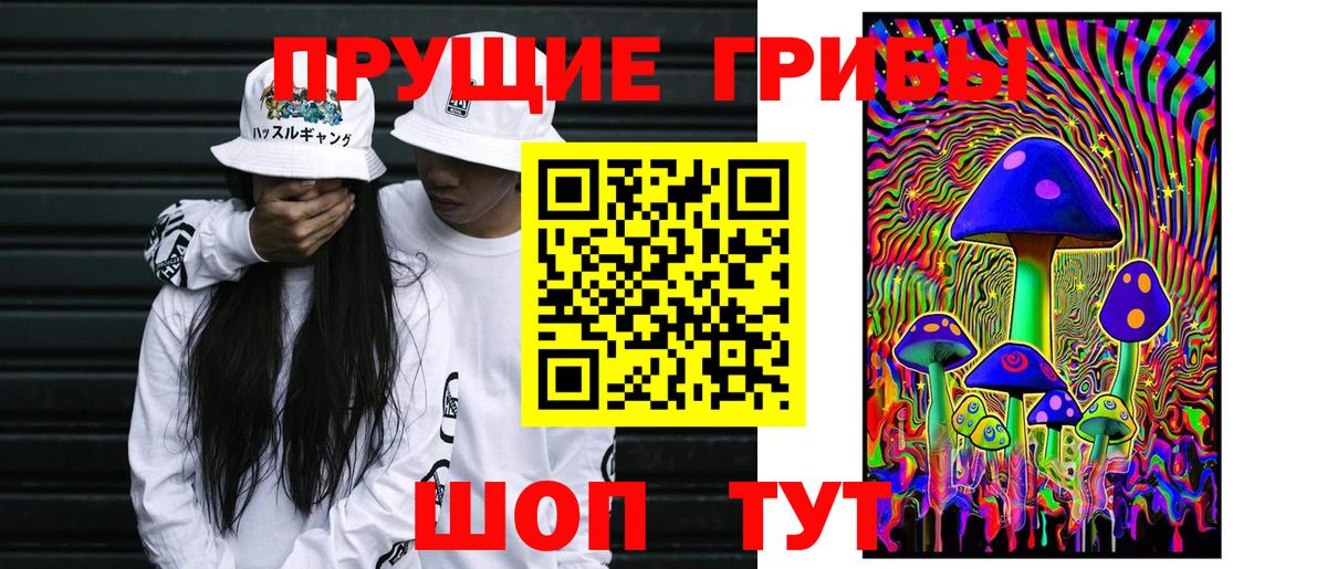 Можайск  Псилоцибиновые грибы прущие грибы  Вход с VPN  Псилоцибиновые грибы ЛСД 