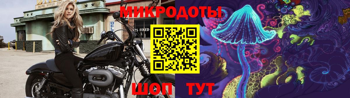 Галлюциногенные грибы мухоморы Можайск